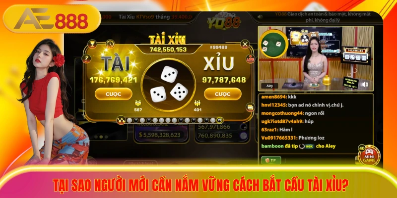 Bật Mí Cách Bắt Cầu Tài Xỉu Chuẩn Xác 100% Cho Người Mới Tại sao người mới cần nắm vững cách bắt cầu Tài Xỉu?