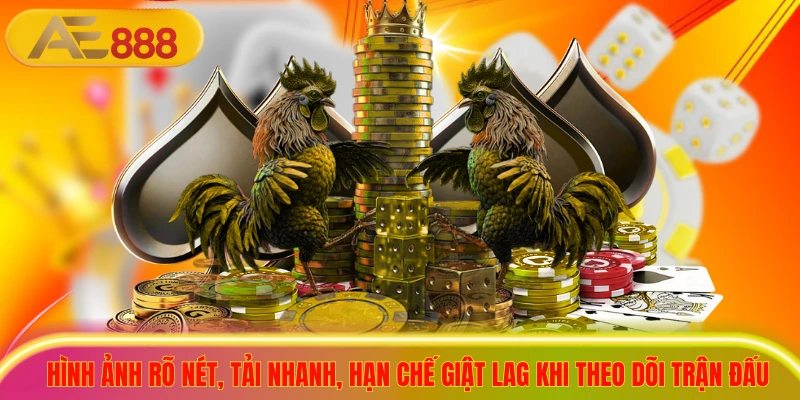 Link AE888 Đá Gà Mới Nhất 2026, An Toàn, Ít Lỗi Truy Cập Hình ảnh rõ nét, tải nhanh, hạn chế giật lag khi theo dõi trận đấu