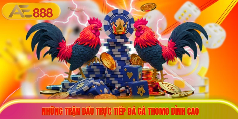 Xem Trực Tiếp Đá Gà Thomo Hôm Nay Với 99 Trận Đấu Nảy Lửa Những trận đấu trực tiếp đá gà thomo đỉnh cao luôn thu hút sự quan tâm lớn